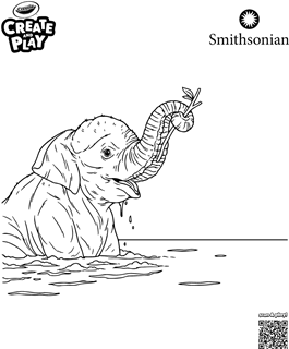 Create and Play Smithsonian Asian Elephant